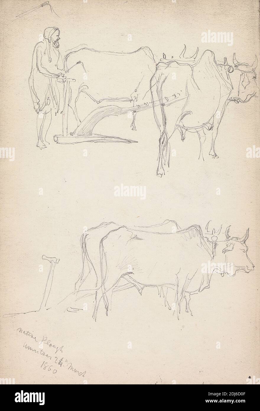 Native Plough, Amritsar, 24 mars 1860, William Simpson, 1823–1899, British, 1860, Graphite sur papier de vélin moyen, lisse, crème, feuille: 4 × 5 7/8 pouces (10.2 × 14.9 cm) et reliure: 4 1/4 pouces (10.8 cm), art animal, chameau (mammifère), chariot, étude de figure, sujet genre, cheval (animal), Amritsar, Inde Banque D'Images