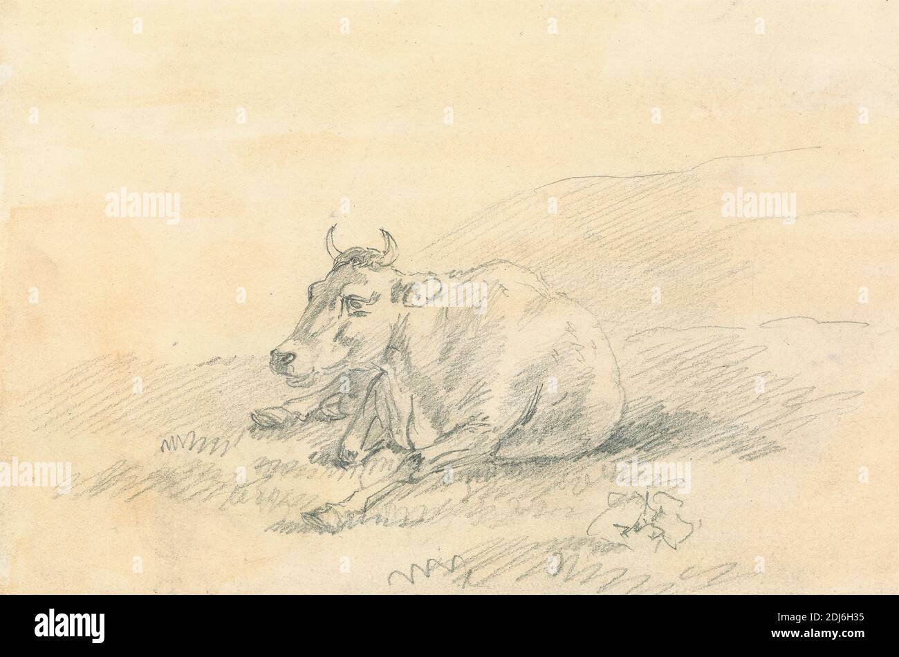 Vache couchée, Sawrey Gilpin, 1733–1807, Britannique, non daté, graphite sur moyen, modérément texturé, crème, papier vélin, monté sur, modérément épais, lisse, crème, papier vélin, feuille: 5 1/2 x 8 1/4in. (14 x 21 cm) et support : 10 3/8 x 10 3/16 pouces (26.4 x 25.9 cm), art des animaux Banque D'Images