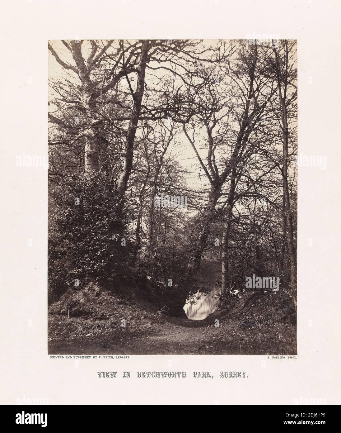 Vue à Betchworth Park, Surrey, Alfred Rosling, 1802–ca. 1880, British, publié par Francis Frith, 1822–1898, British, 1860s, imprimé d'albumine de collodion humide négatif sur papier fin, lisse, crème, feuille: 8 1/4 × 6 1/2 pouces (21 × 16.5 cm) et support: 14 1/2 × 11 1/2 pouces (36.8 × 29.2 cm), paysage, arbres, Betchworth, Angleterre, Surrey, Royaume-Uni Banque D'Images