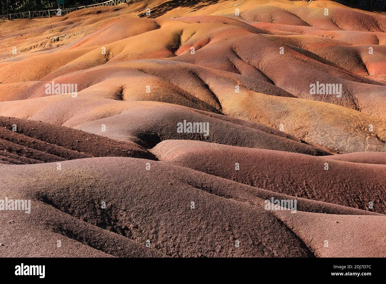 Attractions de l'île Maurice. Parc national unique sept couleurs de la terre Shamarel. Tourisme. Banque D'Images