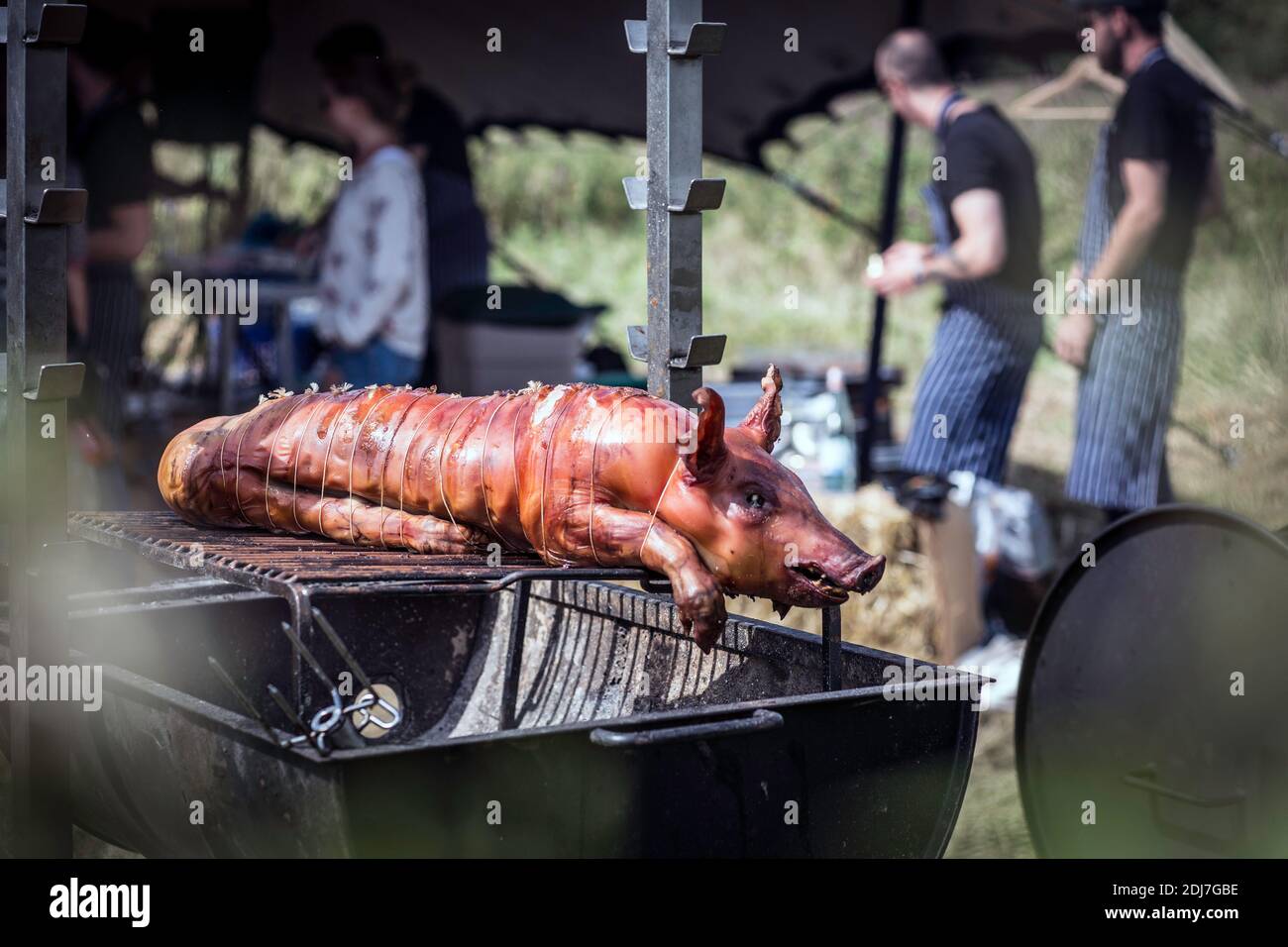 Un porc grillé au charbon traditionnel et au feu. Le petit porc est rôti tout entier sur un feu ouvert. Banque D'Images