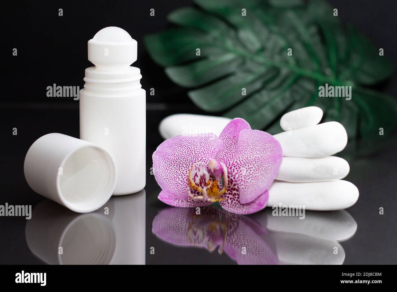 Belle fleur d'orchidée lilas et déodorant à rouler blanc avec pierres blanches et feuilles de monstère, sur fond noir Banque D'Images