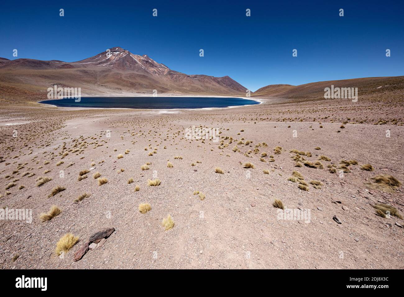 Laguna Miñíques, un lac saumâtre à une altitude de 4,120 mètres dans la zone volcanique centrale andine, au Chili. Banque D'Images