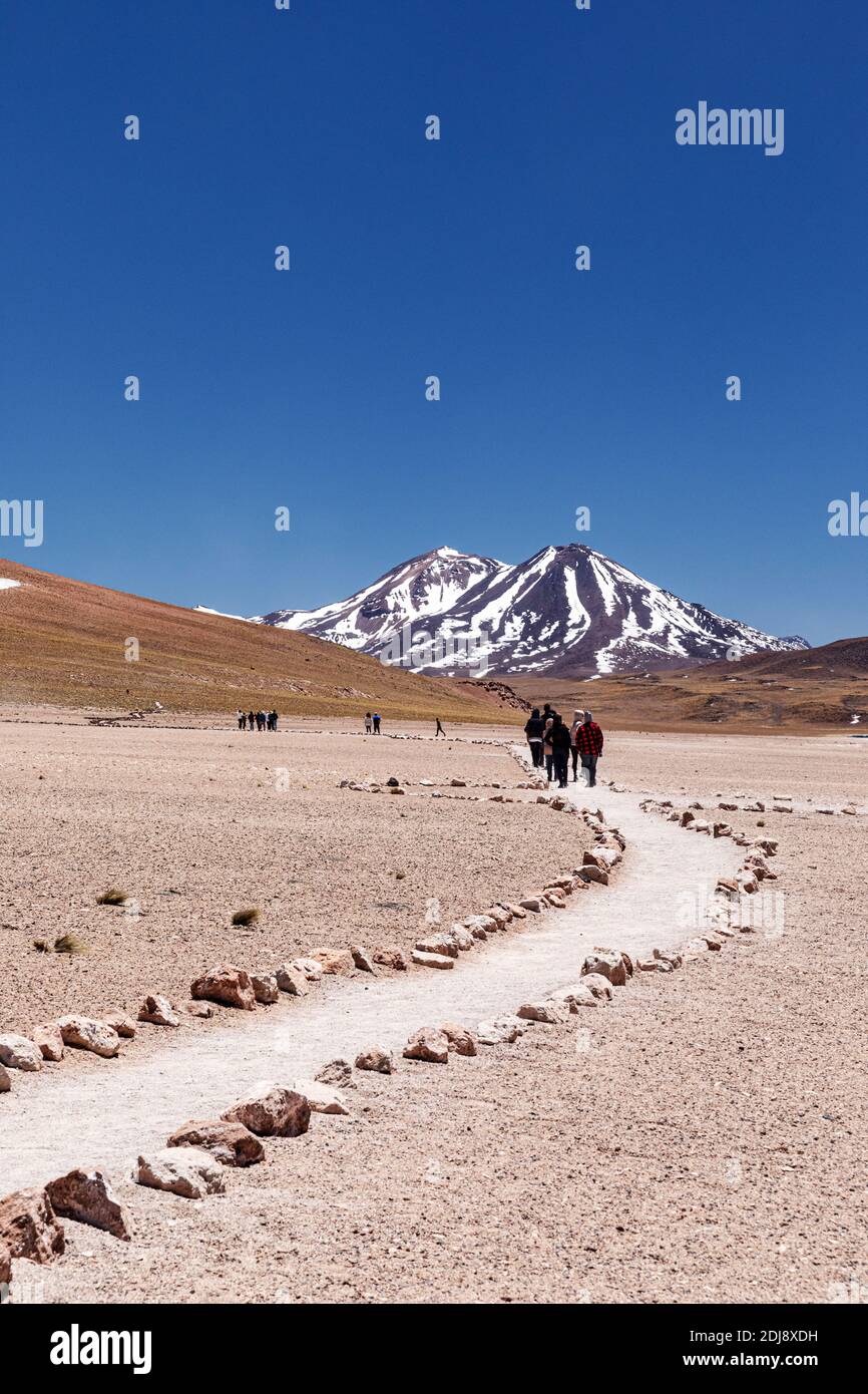 Touristes sur le chemin de Laguna Miscanti, un lac saumâtre à une altitude de 4,140 mètres, zone volcanique centrale, Chili. Banque D'Images