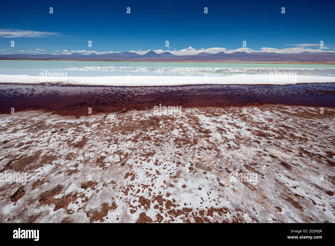 Laguna Tebenquicne, un lagon d'eau salée dans le Salar de Atacama, réserve nationale de Los Flamencos, Chili. Banque D'Images