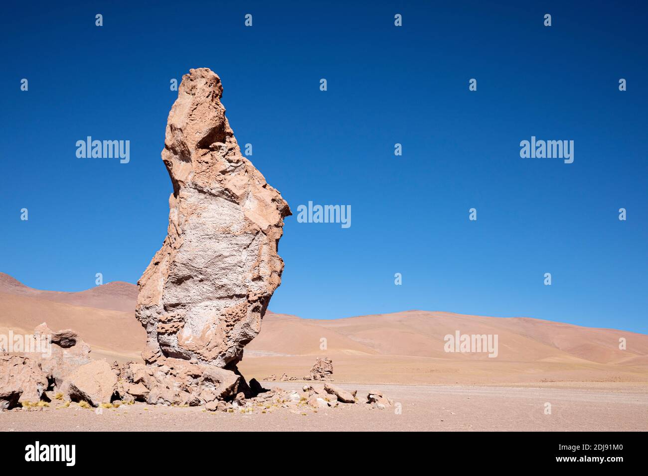 Formation de pierres à Salar de Tara y Aguas Calientes I, réserve nationale de Los Flamencos, région d'Antofagasta, Chili. Banque D'Images