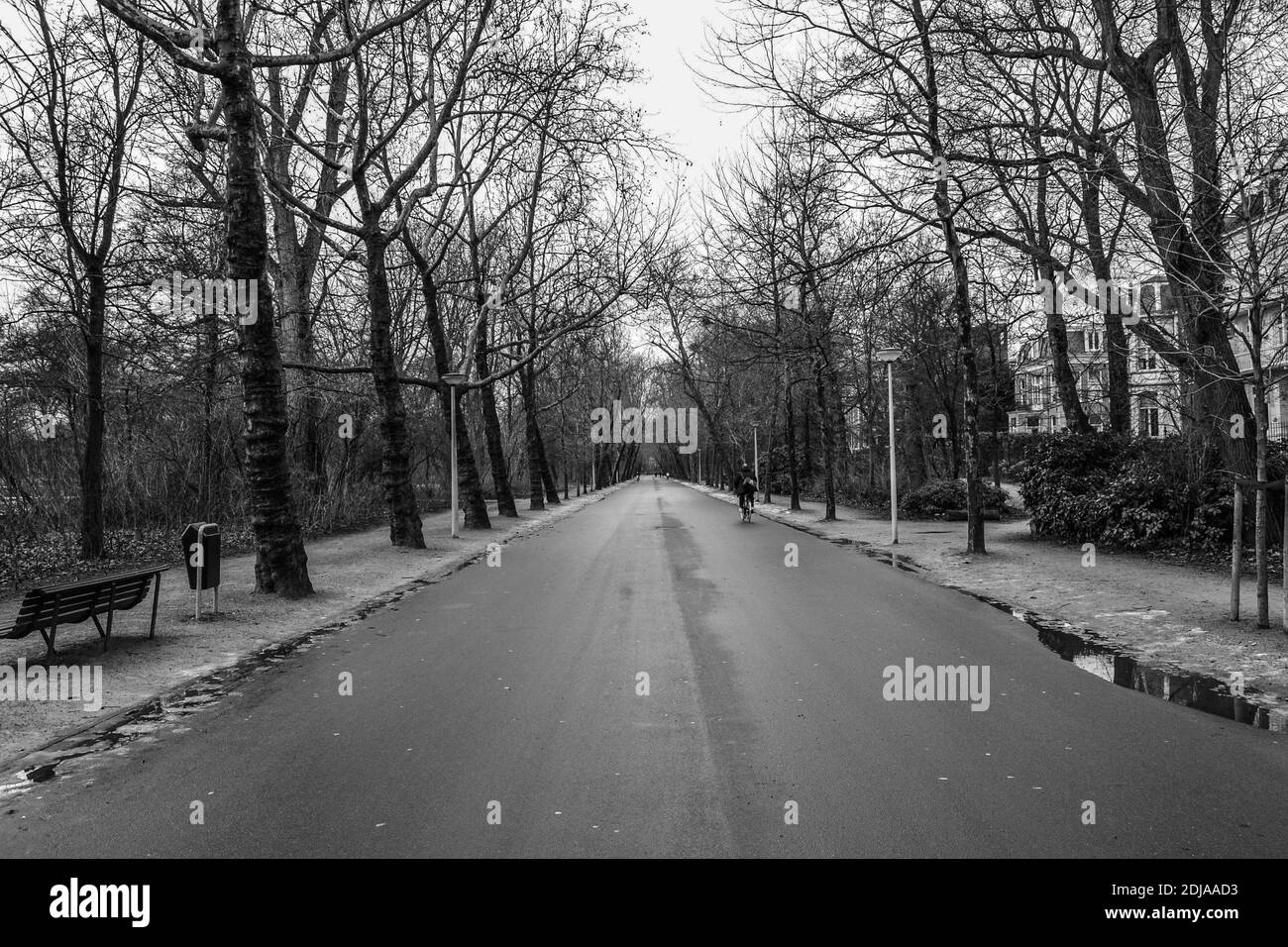 14.02.2012. Amsterdam. Pays-Bas. Route dans le Vondelpark, Amsterdam. Photo en noir et blanc. Personne faisant du vélo à l'intérieur du chemin. Banque D'Images
