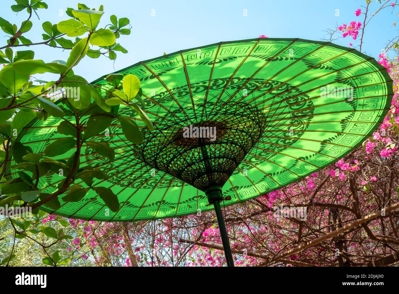 Parapluie birman traditionnel vert dans le jardin, Birmanie, Myanmar Banque D'Images