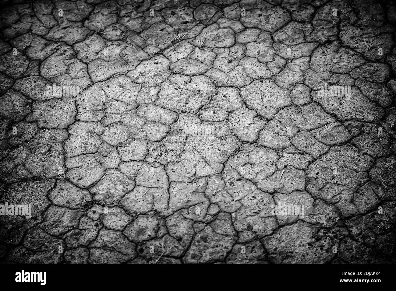 détail du changement climatique, de la destruction et de la chaleur, de la destruction de l'environnement Banque D'Images