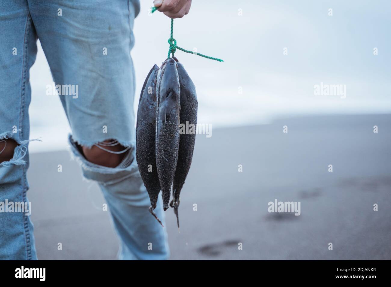 Gros plan pêcheur obtenant du poisson de sa pêche Banque D'Images