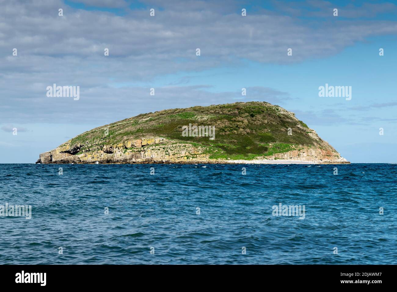 Puffin Island ou Ynys Seiriol de la côte d'Anglesey Pays de Galles du Nord Royaume-Uni Banque D'Images