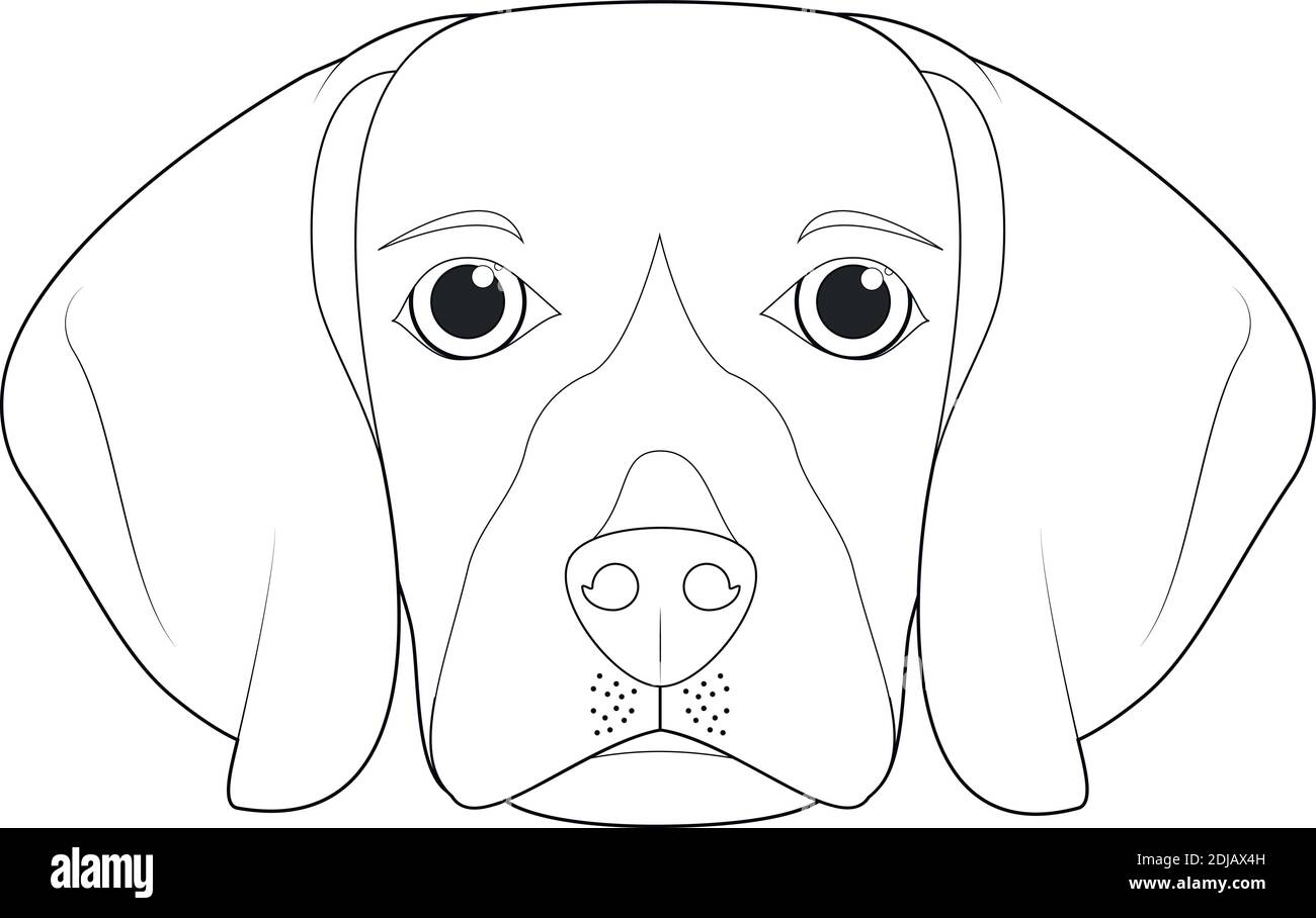 Beagle Chien Dessin Anime Facile A Colorier Illustration Vectorielle Isole Sur Fond Blanc Image Vectorielle Stock Alamy Beagle Chien Dessin Anime Facile A Colorier Illustration Vectorielle Isole Sur Fond Blanc Image Vectorielle Stock Alamy