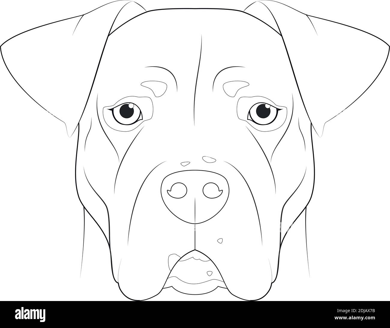 Illustration vectorielle facile à colorier pour chien Dogo argentin. Isolé  sur fond blanc Image Vectorielle Stock - Alamy