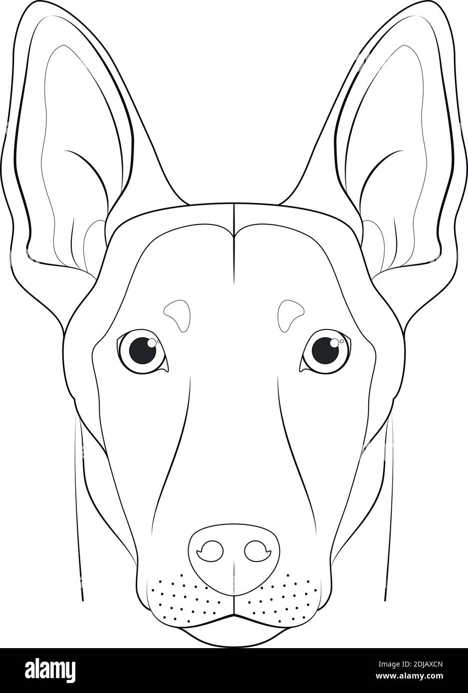 Belge Sheperd Malinois Chien Facile A Colorier Dessin Anime Illustration Vectorielle Isole Sur Fond Blanc Image Vectorielle Stock Alamy Belge Sheperd Malinois Chien Facile A Colorier Dessin Anime Illustration Vectorielle Isole Sur Fond Blanc Image Vectorielle Stock Alamy