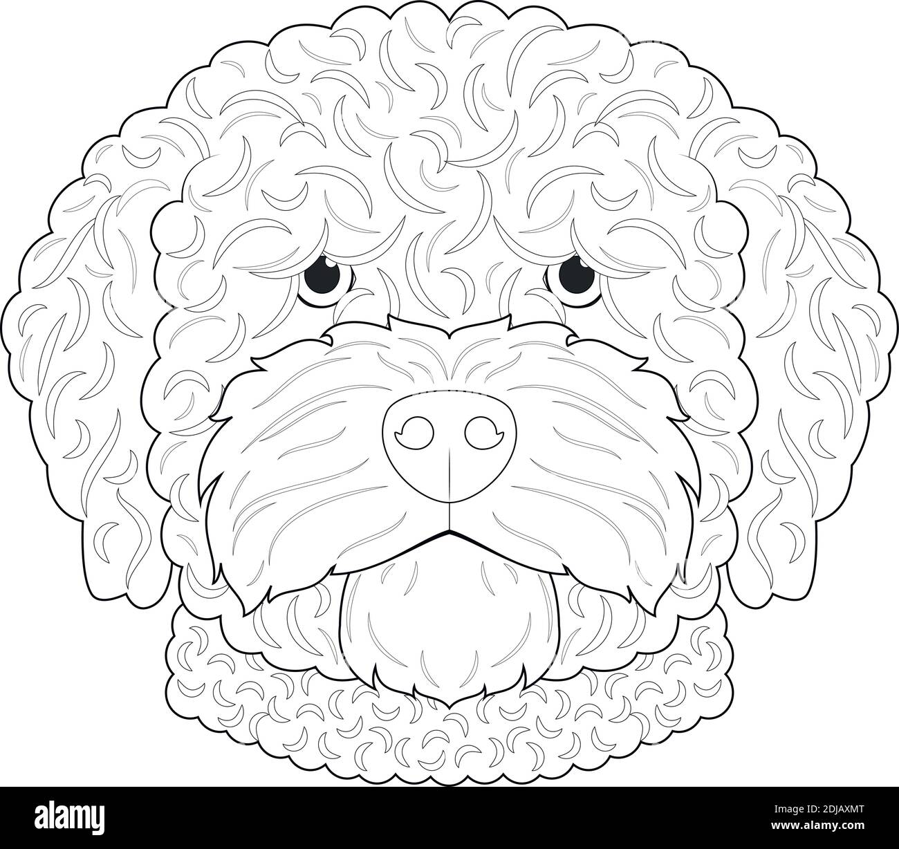 Spanish Water dog Easy coloriage dessin animé illustration vectorielle. Isolé sur fond blanc Illustration de Vecteur