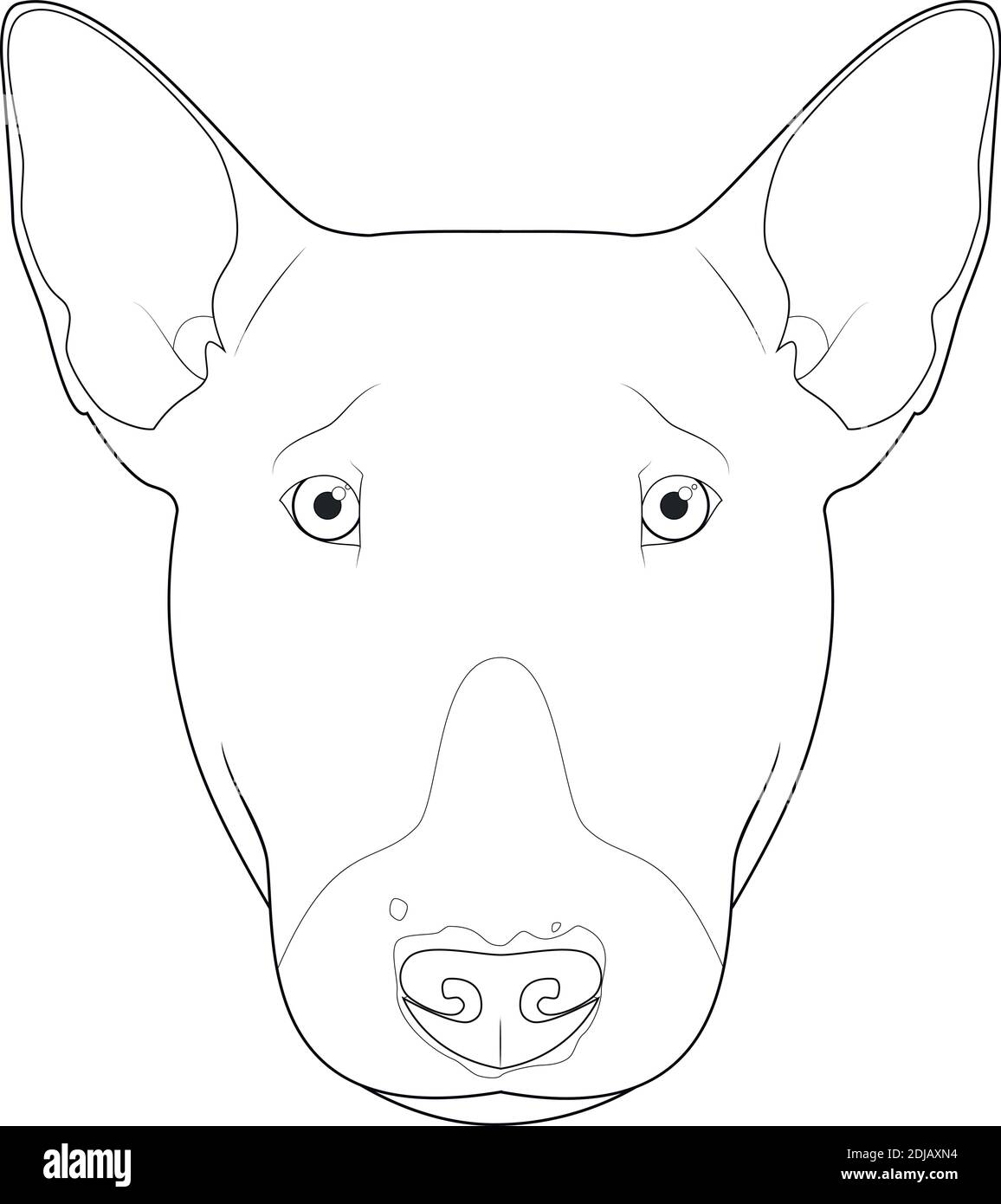Illustration vectorielle de dessin animé à colorier pour chien Bull Terrier. Isolé sur fond blanc Illustration de Vecteur