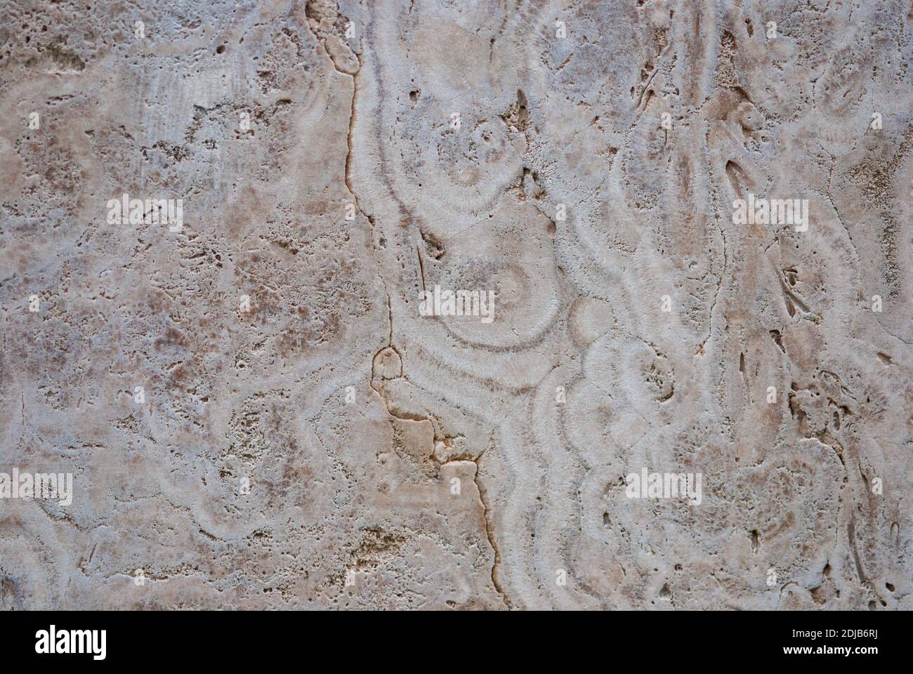 Limestome naturel d'eau douce (marbre italien, tufa calc, travertin) structure texturée Banque D'Images