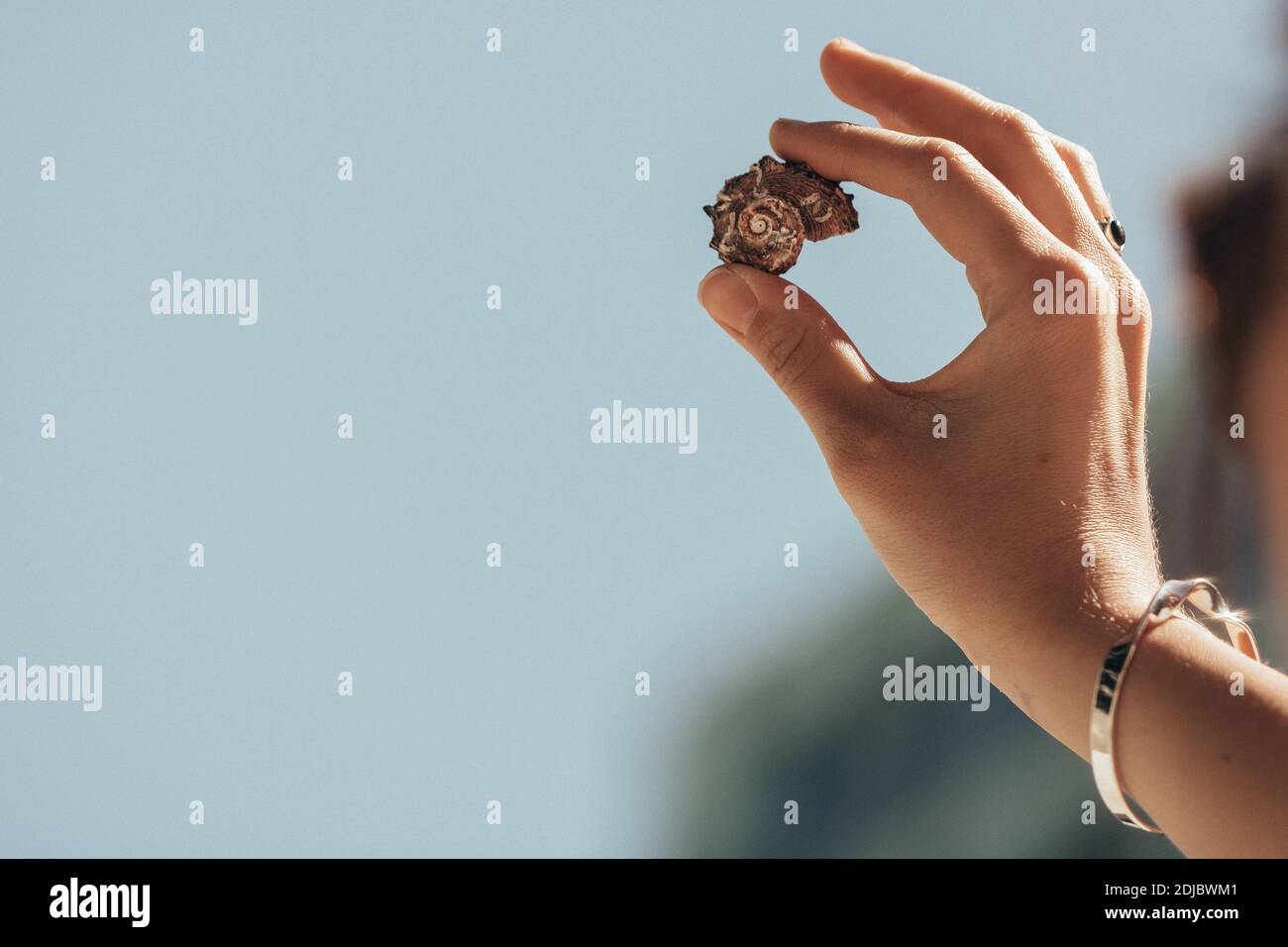 Main courte d'une femme tenant de l'ammoniac pendant la Sunny Day Photo  Stock - Alamy