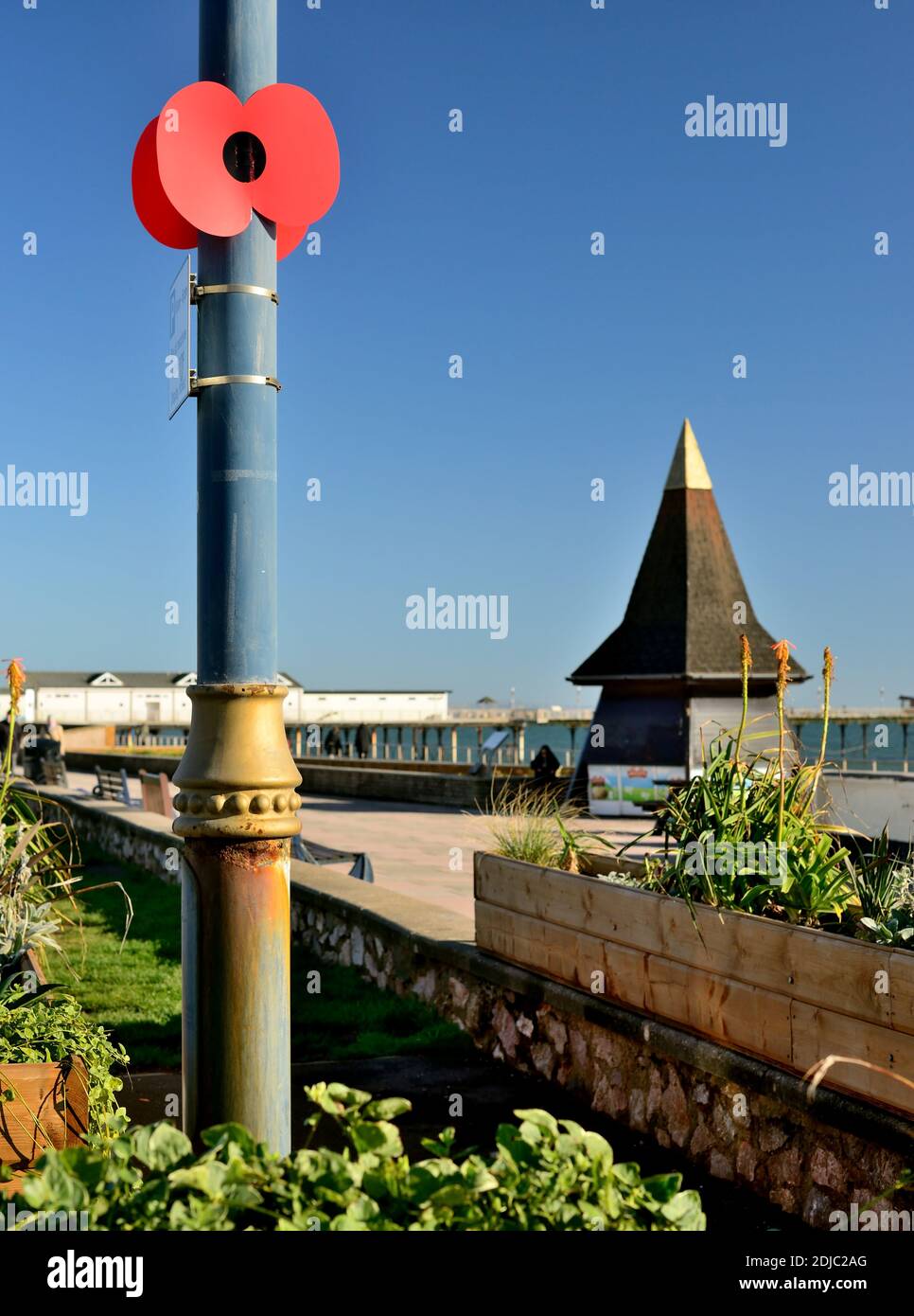 Un grand coquelicot sur un lampadaire pour commémorer le jour du souvenir au Royaume-Uni. Banque D'Images