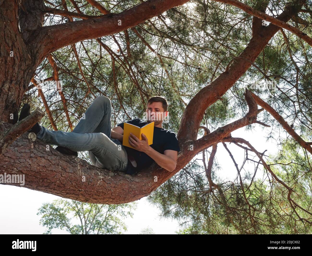 Activités de plein air en été. Le gars est en train de lire un livre tout en étant assis sur une branche d'arbre. Banque D'Images