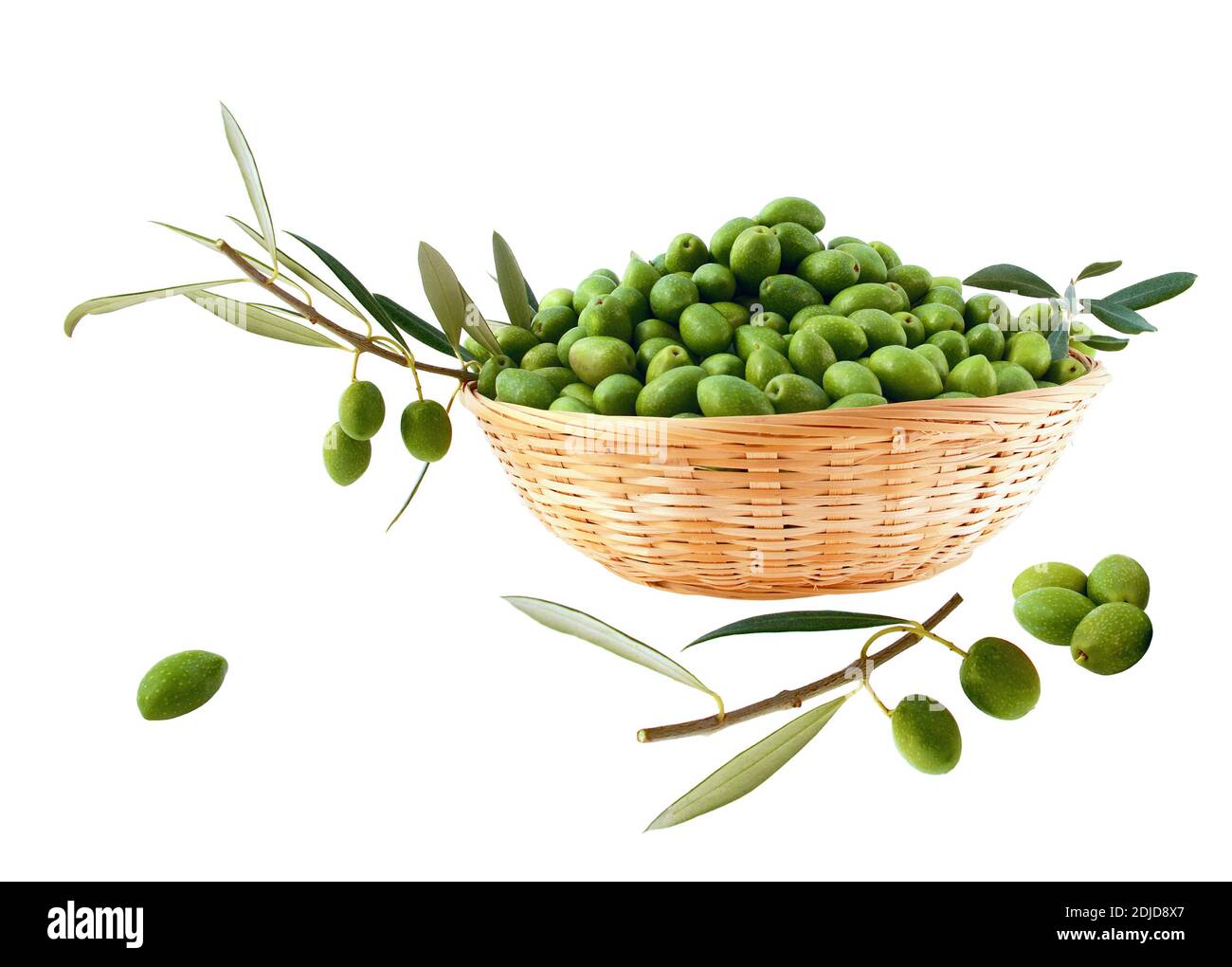 Olives vertes avec branche d'olive chargée de fruits isolés sur fond blanc. Banque D'Images