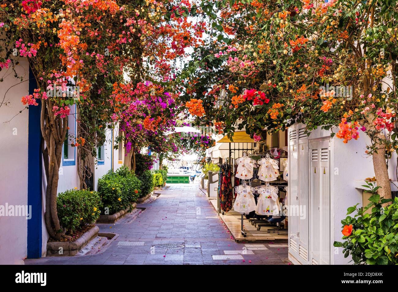 Rue avec des fleurs à Puerto de Mogan, Gran Canaria island, Espagne Banque D'Images