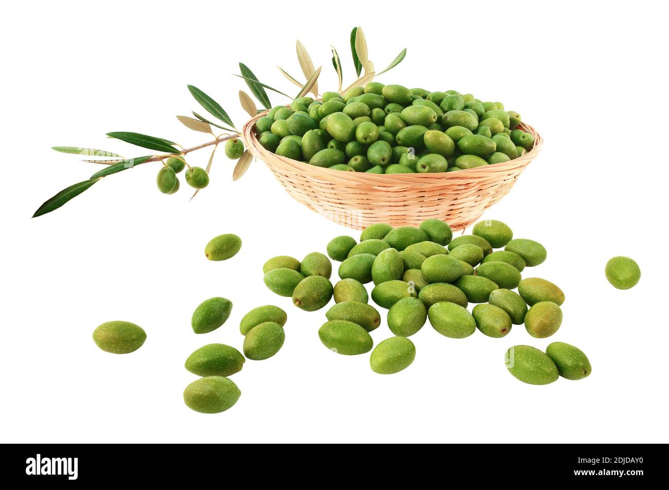 Olives vertes avec branche d'olive chargée de fruits isolés sur fond blanc. Banque D'Images