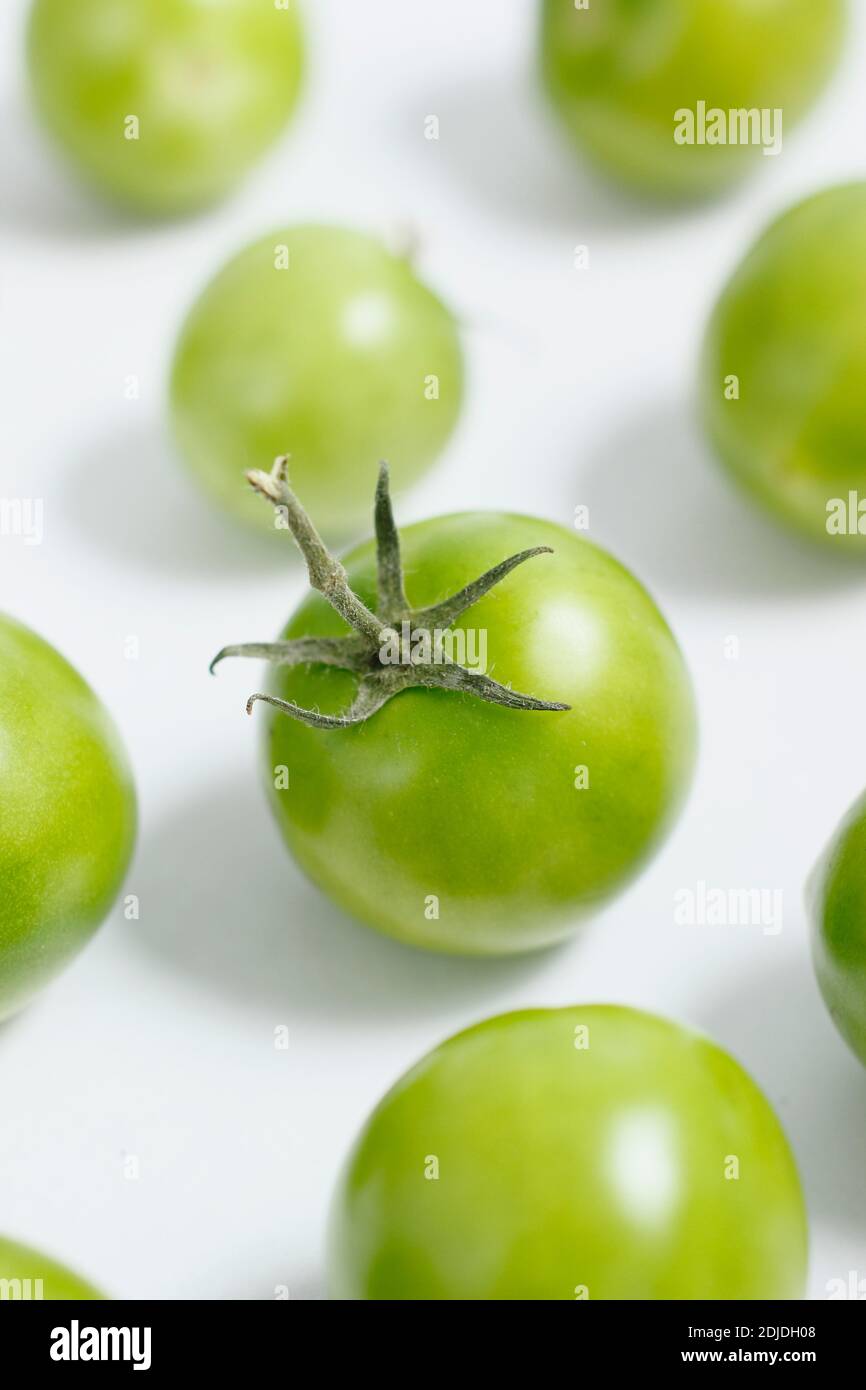 Solanum lycopersicum. Tomates vertes sur fond blanc. ROYAUME-UNI Banque D'Images