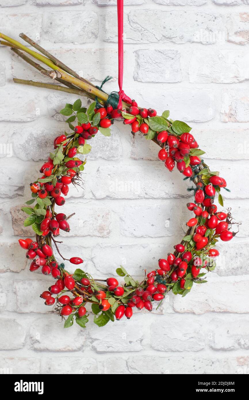Couronne d'automne. Couronne maison de rose musquée d'automne accrochée sur fond blanc. ROYAUME-UNI Banque D'Images
