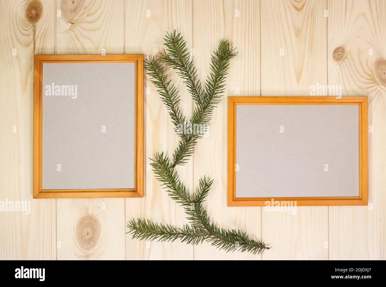 Faites une maquette des cadres en bois vides et des brindilles de sapin sur un arrière-plan mural en pin azur, montrez du texte ou du produit. Thème de Noël. Banque D'Images