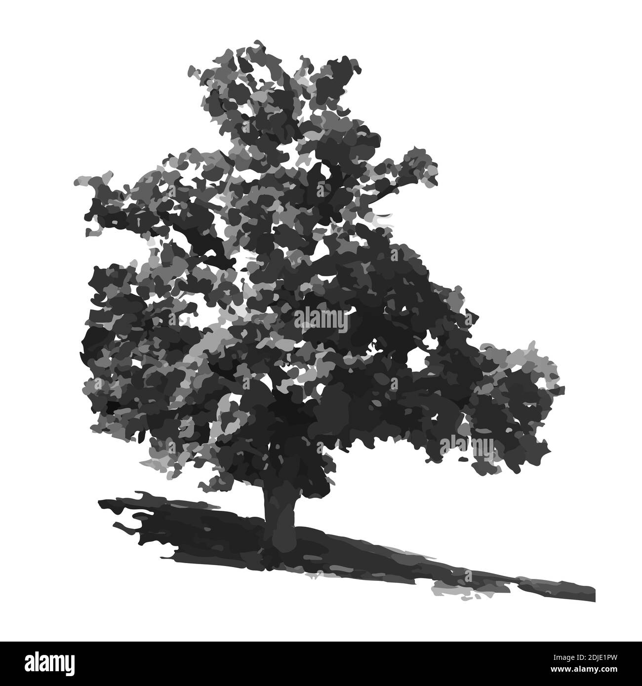 Silhouette d'arbre isolée sur fond blanc. Icône chêne. Arbre réaliste de forme noire avec silhouette de feuilles.conception à plat de contour.Illustration vectorielle Illustration de Vecteur