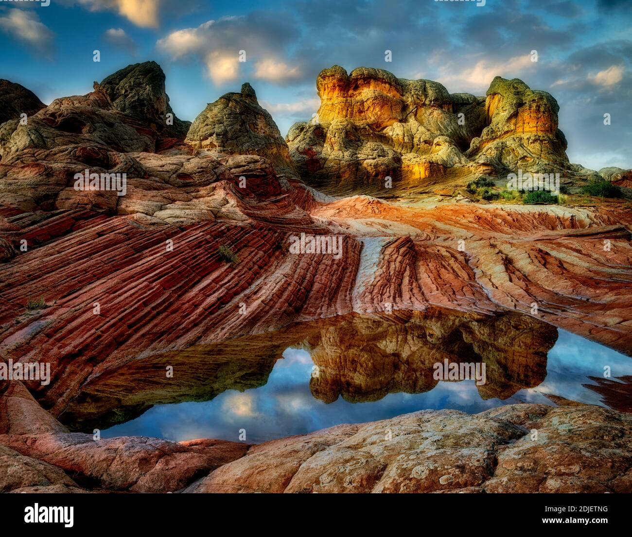 Pocket blanc avec l'eau de pluie piscines. Vermilion Cliffs National Monument, Arizona Banque D'Images