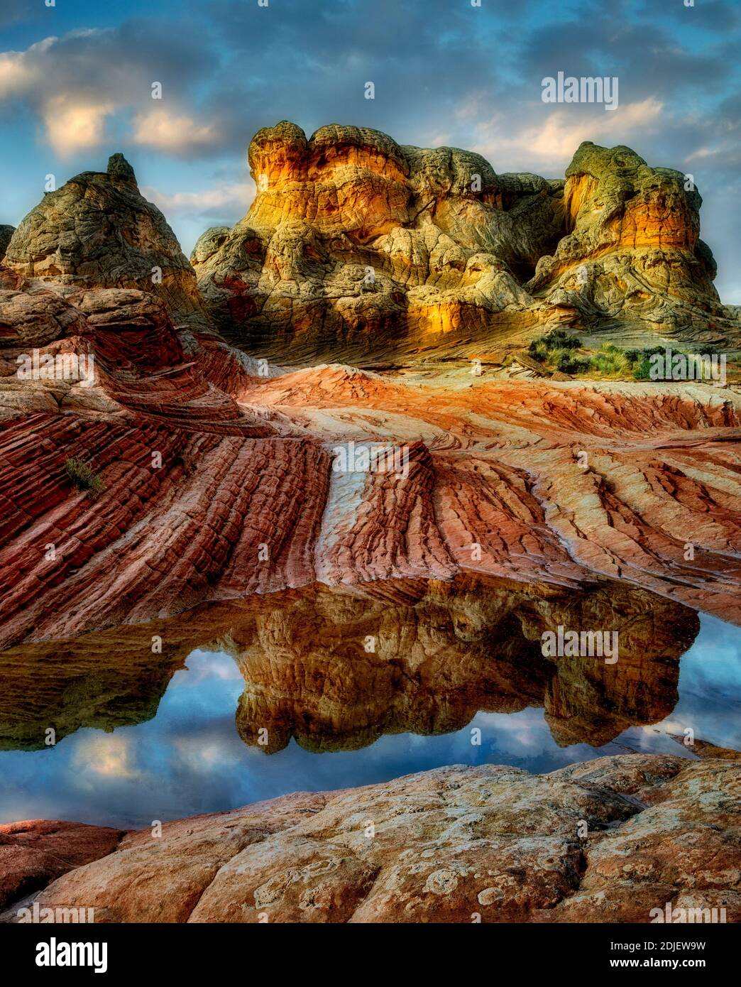 Pocket blanc avec l'eau de pluie piscines. Vermilion Cliffs National Monument, Arizona Banque D'Images
