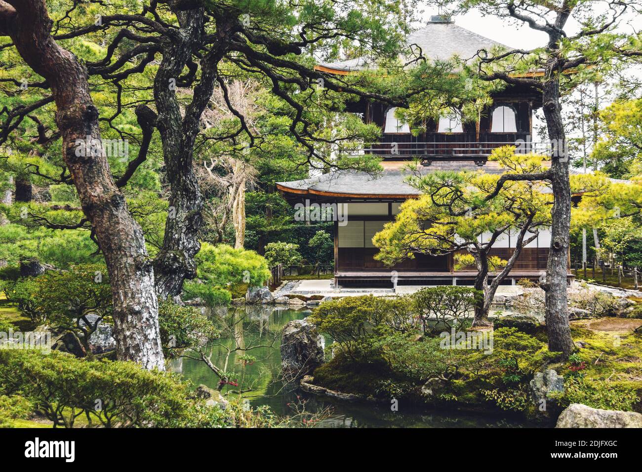 Temple Ginkakuji Pavillon d'argent recouvert de vieux pins à Kyoto, Japon Banque D'Images