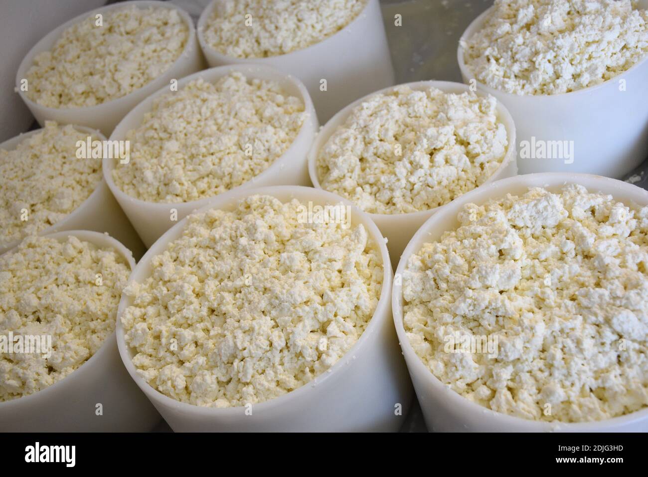 Moules à fromage remplis de caillé sans presser pour la fabrication du fromage. Banque D'Images