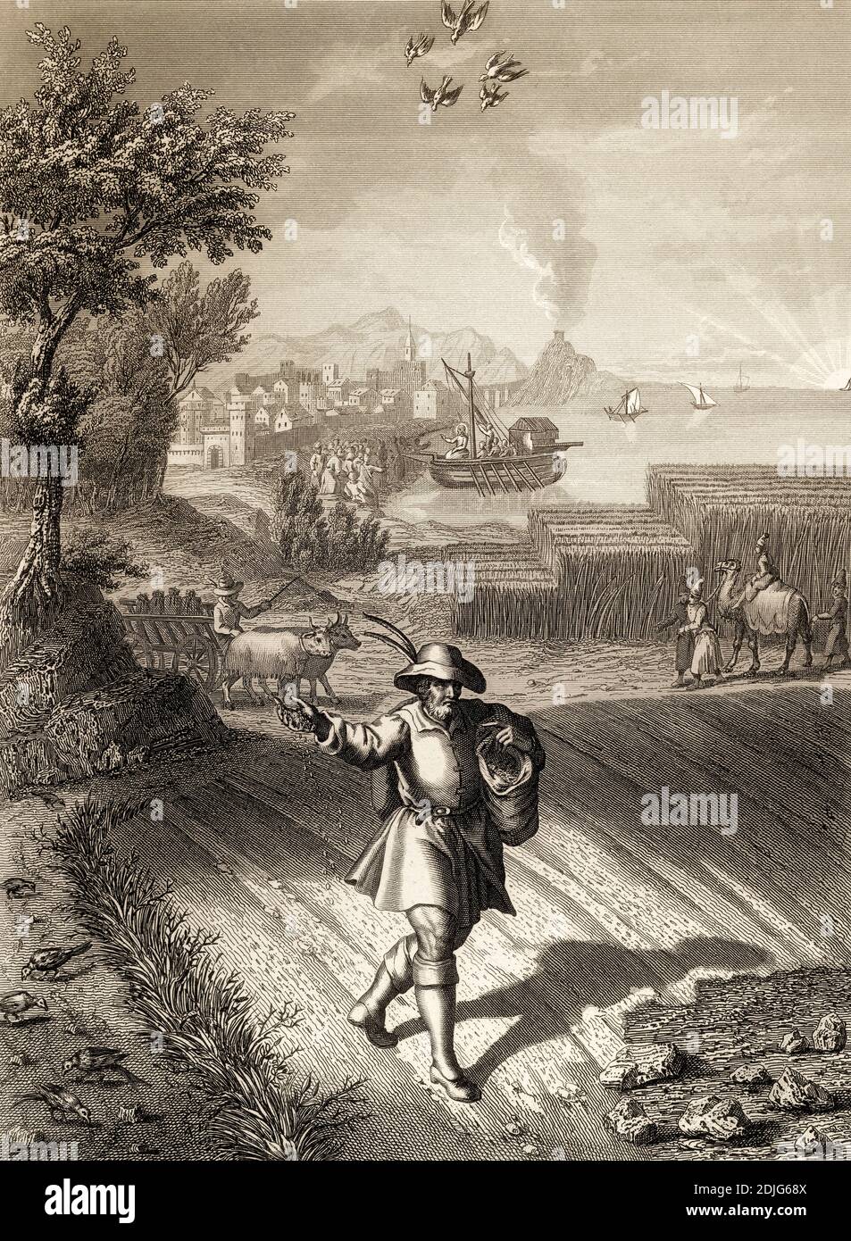 Parabole de la sower, Nouveau Testament, gravure en acier 1853, restaurée numériquement Banque D'Images