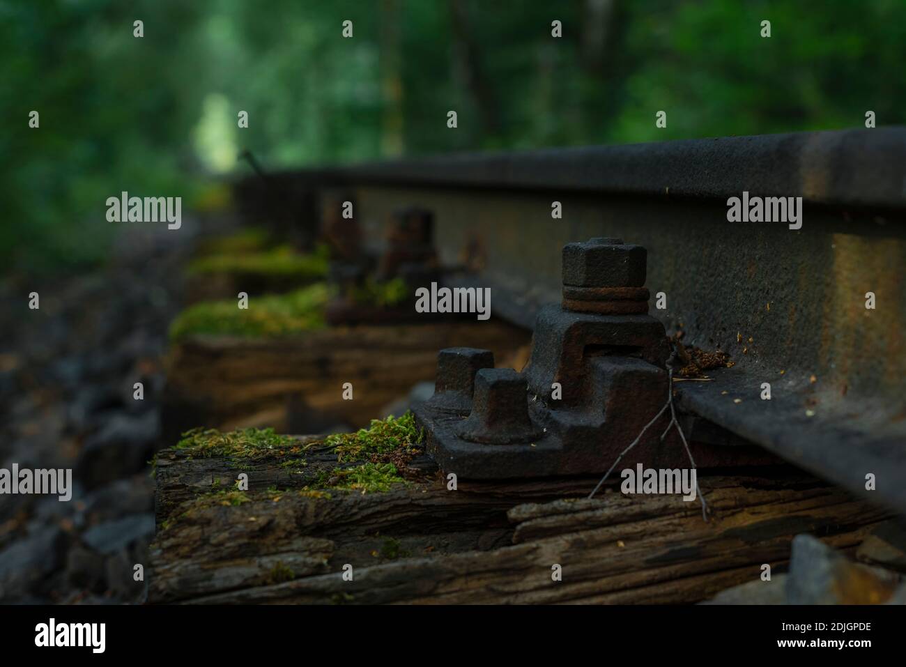 Vieux chemin de fer rouillé dans une forêt, vieux chemin de fer en bois pourri dans une forêt, vieux chemin de fer rouillé dans une forêt Banque D'Images