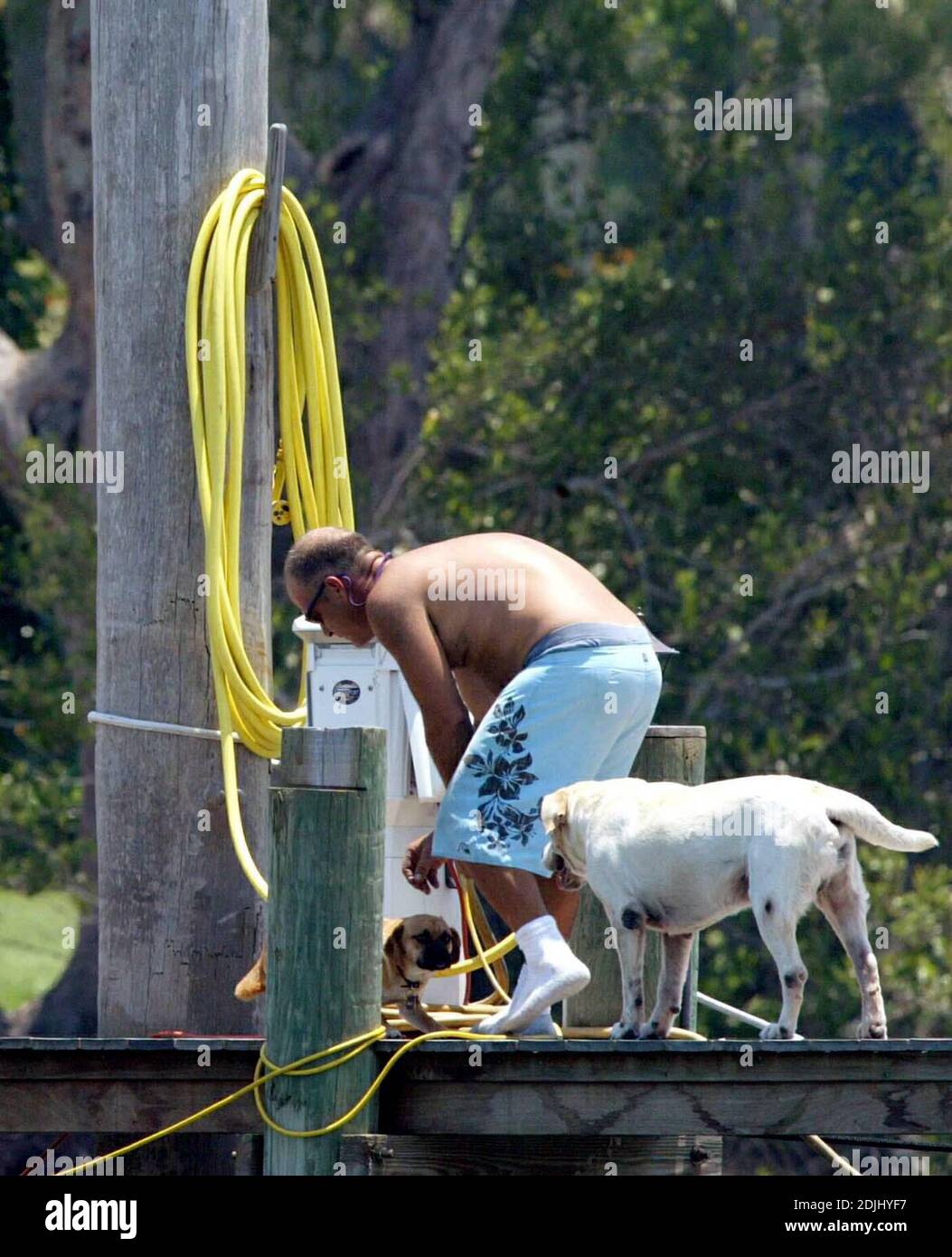 Exclusif !! Laura Norman et une amie jouent avec ses chiens pendant qu'ils travaillent sur l'un des trois bateaux. La légende du golf Greg Norman et sa femme ont récemment appelé leur mariage quits. Jupiter, FL 05/18/06 Banque D'Images