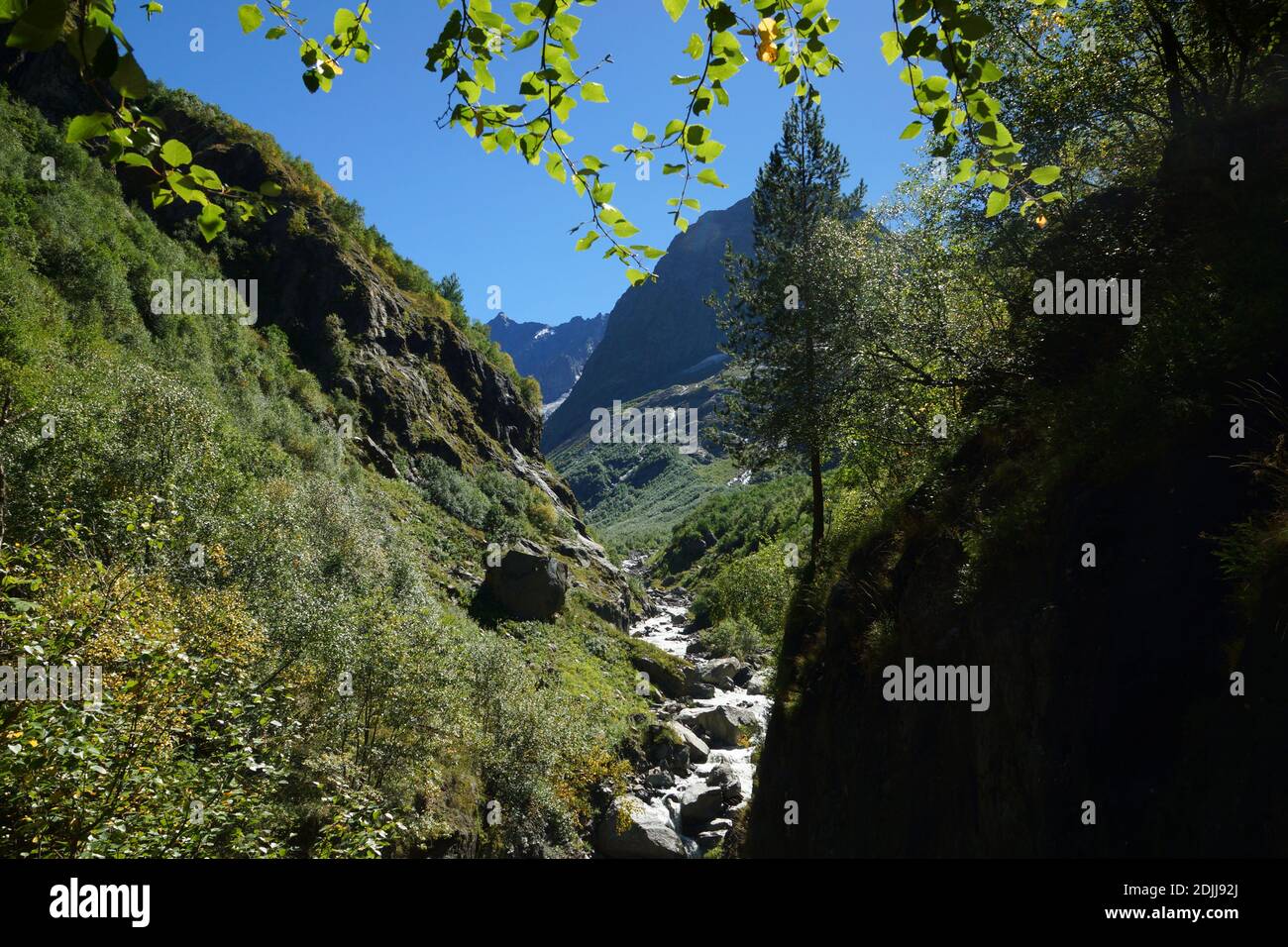 Paysage de montagne. L'usine du diable. Montagnes du Caucase dans la République de Karachay-Cherkess, Réserve naturelle de Teberda, Russie. Banque D'Images