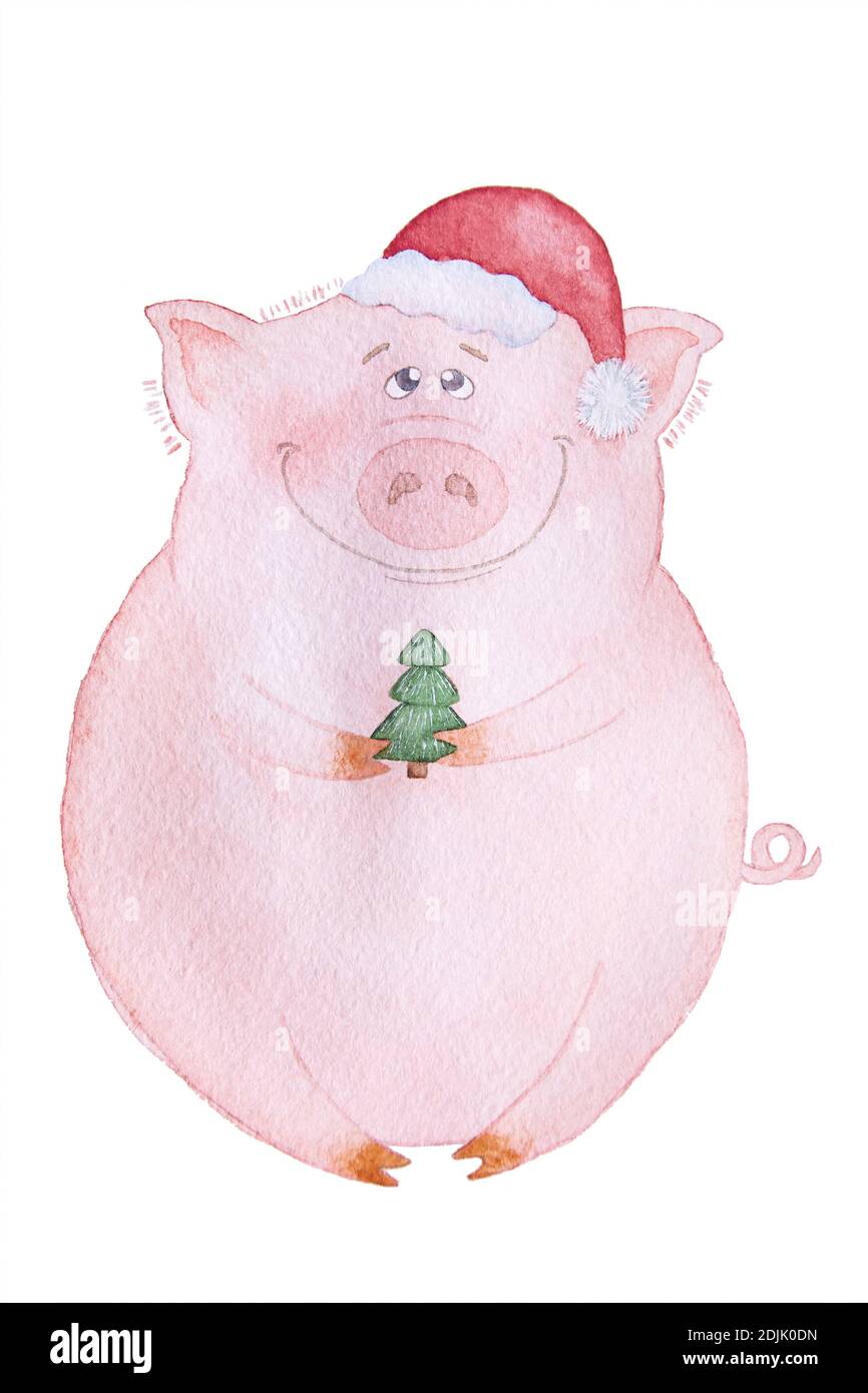Dessin aquarelle d'un mignon cochon du nouvel an dans la casquette du Père Noël et arbre de Noël dans ses pattes. Banque D'Images