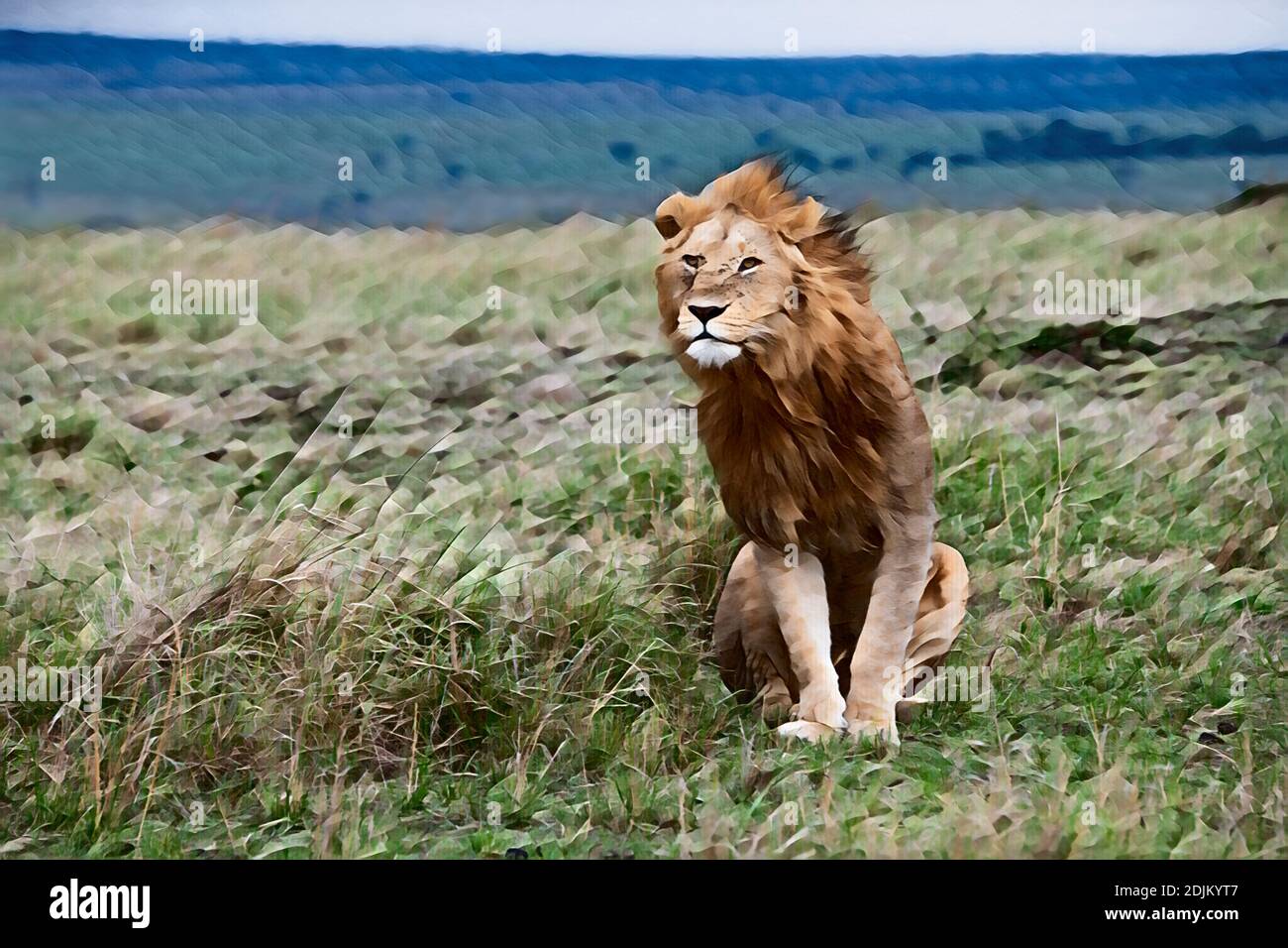 Afrique, Kenya, plaines du Serengeti du Nord, Maasai Mara. Lion mâle (SAUVAGE: Panthera leo) avec des mouches sur le visage dans l'habitat des prairies. Ordinateur amélioré. Banque D'Images