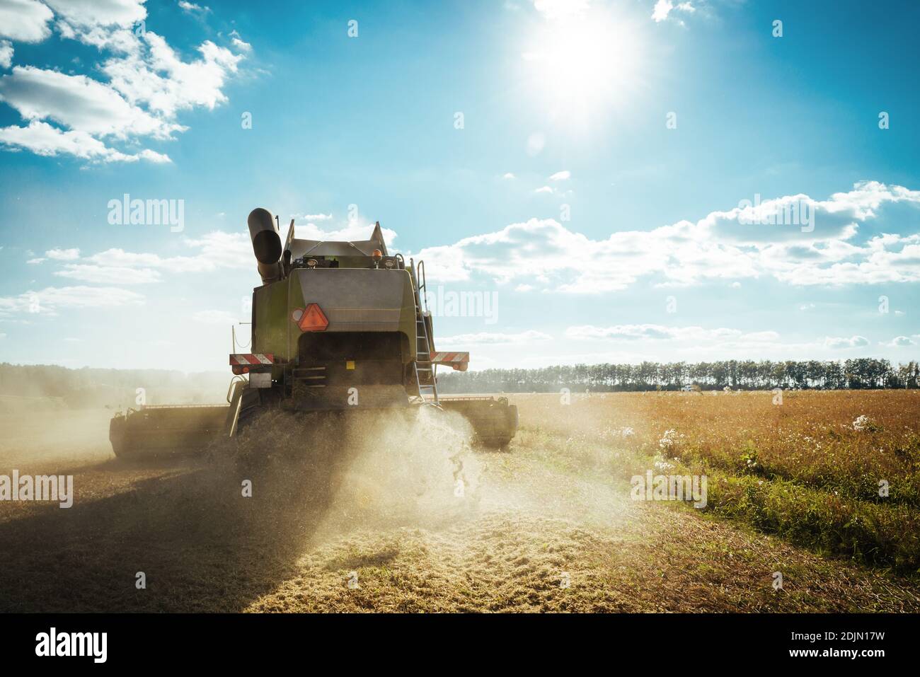 La moissonneuse-batteuse récolte du blé mûr. Concept d'une récolte riche. Image Agriculture Banque D'Images