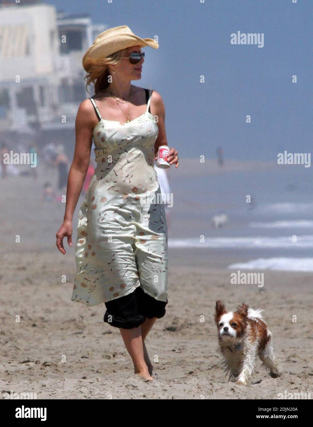 Rosanna Arquette fait une promenade sur la plage avec un ami tout en jouant à FETCH avec quelques chiens. Peut-être l'actrice est-elle consciente de la portée, car elle semble être en fourre-tout un pot de yogourt rempli de sable. Malibu, Calif. 7/9/06 Banque D'Images