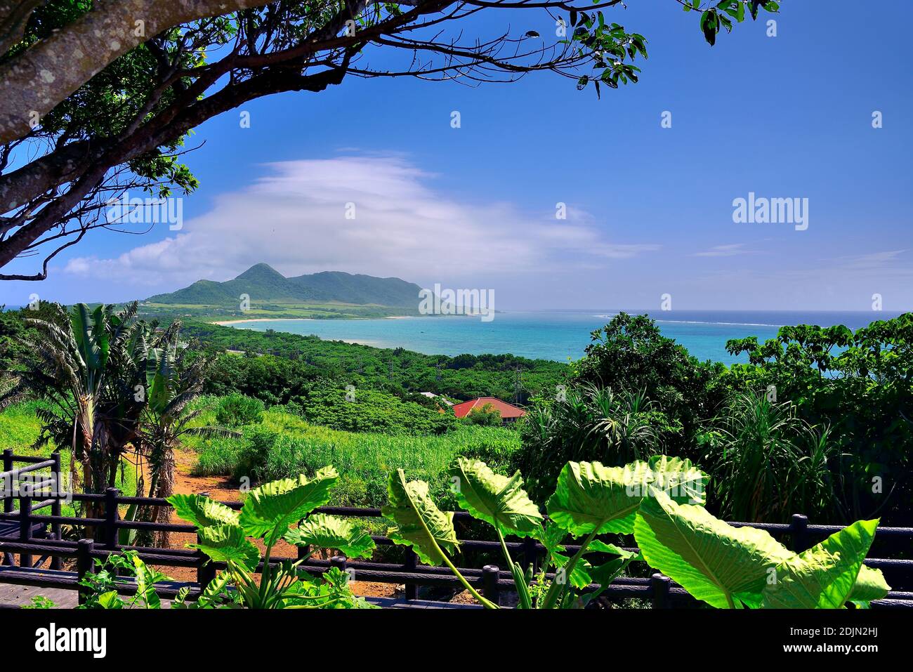 Vue panoramique, depuis Tamatorizak, Ishigaki, les îles Yahema, Okinawa, les îles Ryukyu, Japon Banque D'Images