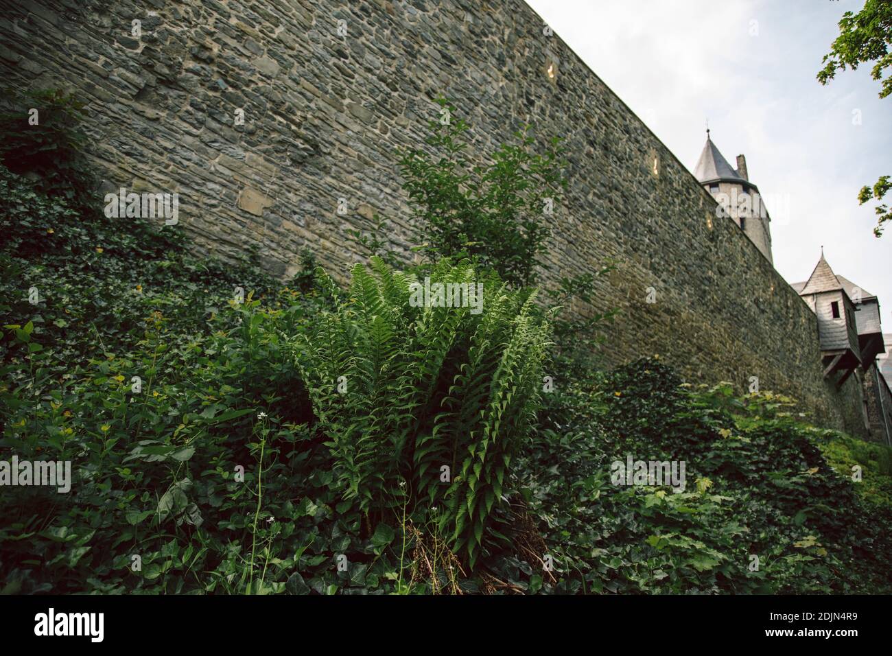 Altena, Château d'Altena, XIIe siècle, Klusenberg, Märkischer Kreis, Rhénanie-du-Nord-Westphalie, Allemagne Banque D'Images