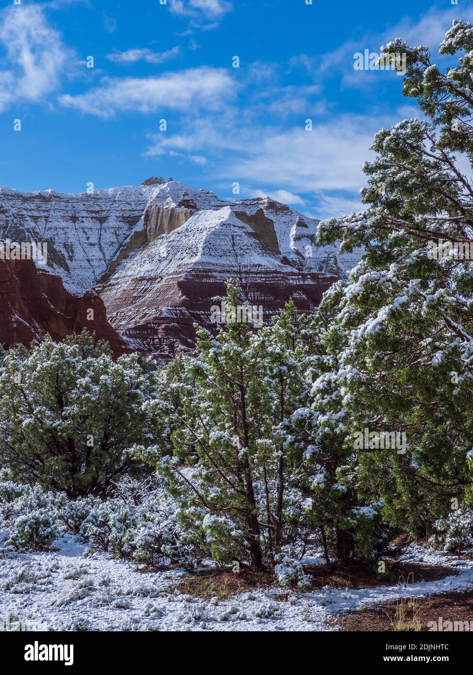 Jour de neige dans le parc, Parc d'état de Kodachrome Basin, Cannonville, Utah. Banque D'Images