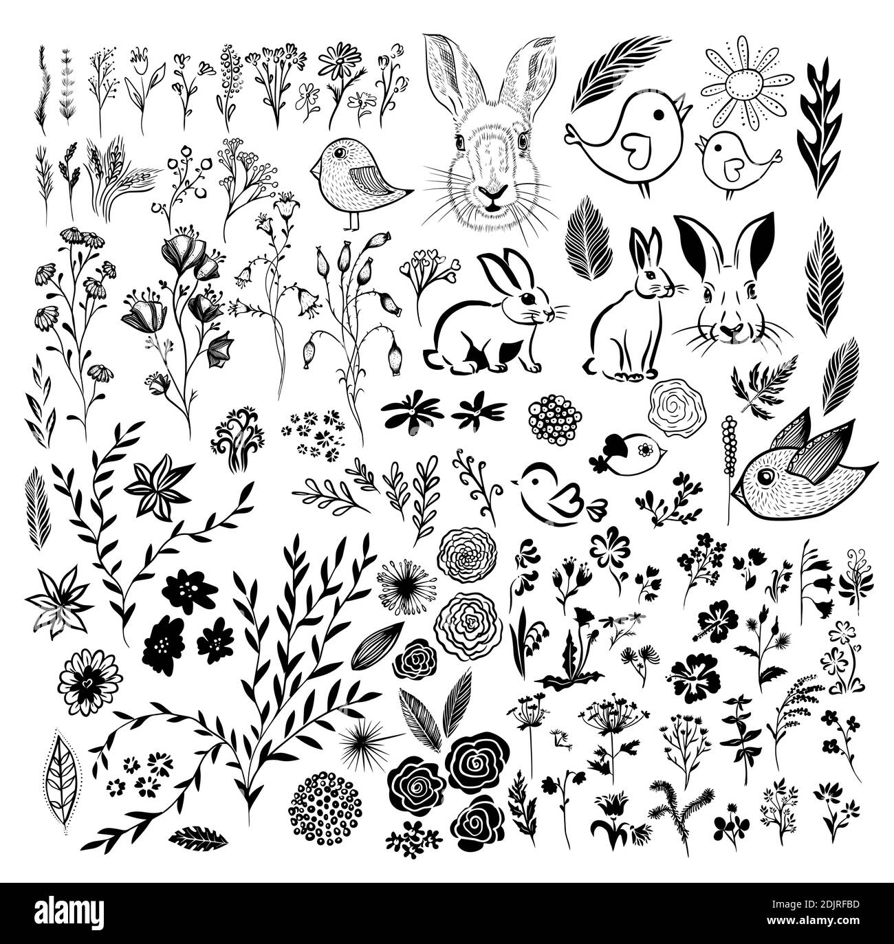 Un ensemble d'éléments floraux monochromes. Illustration vectorielle Illustration de Vecteur