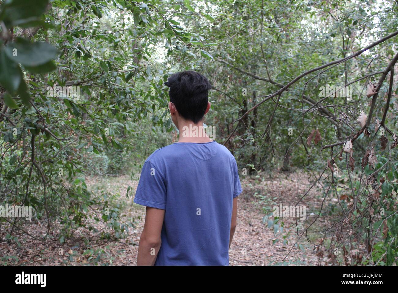 Boy Standing In Forest Banque D'Images