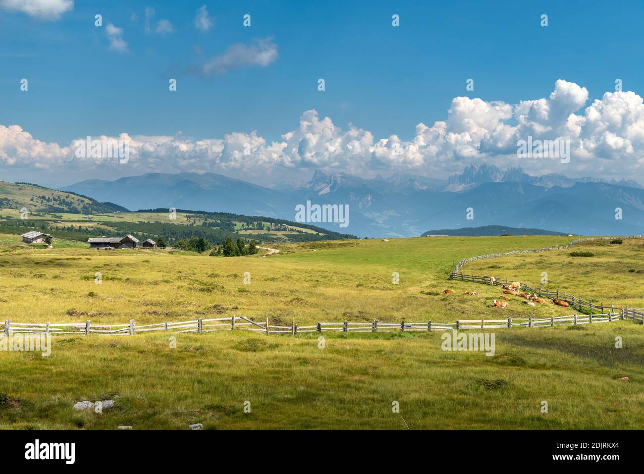 Villanders, province de Bolzano, Tyrol du Sud, Italie. Huttes alpines sur l'Alm de Villanderer avec vue sur les Dolomites avec Peitlerkofel et Geisler Peaks Banque D'Images