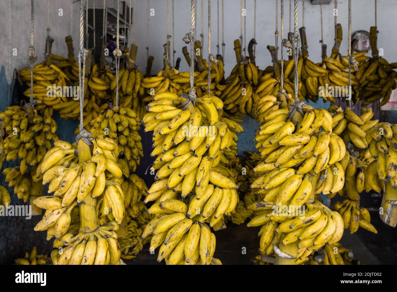 Variété de bananes dans la boutique de bananes de Kerala, Inde Banque D'Images